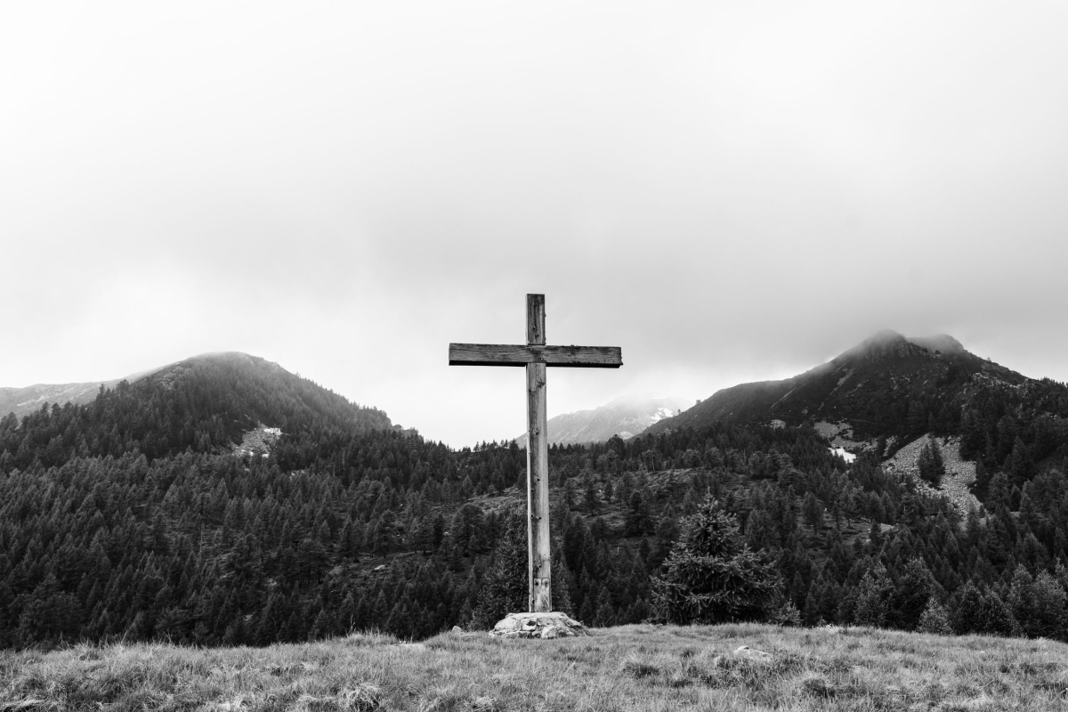 Grenzgebiet-neben den Palmen